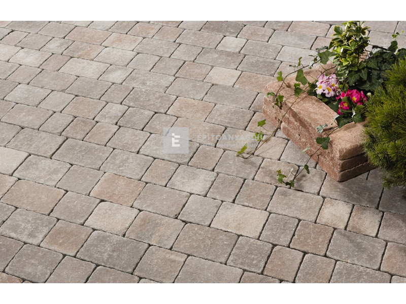 Leier Castrum Kombi térkő antik kagylóhéj 5 cm