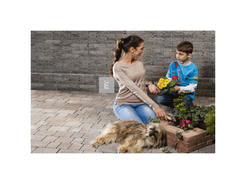 Leier Castrum Kombi térkő antik kagylóhéj 5 cm