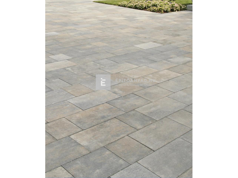 Viastein Sempre Grando térkő kagylóhéj 6 cm