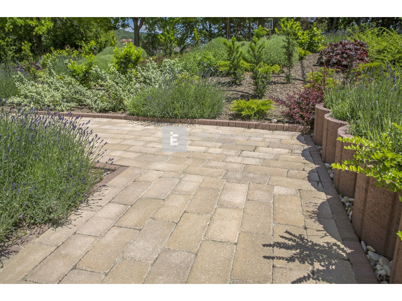 Leier Patio Térkő és falazóelem agyagbarna melírozott 25x12,4 cm 5 cm