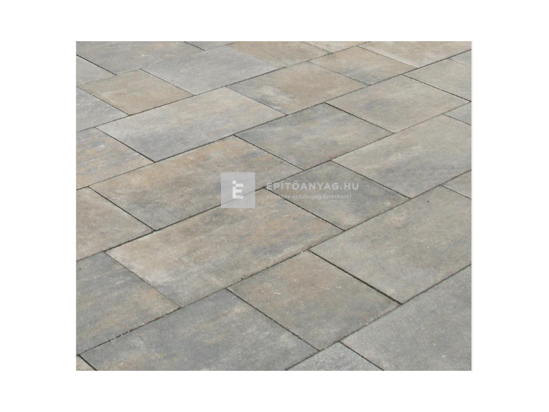 Viastein Sempre Grando térkő kagylóhéj 6 cm