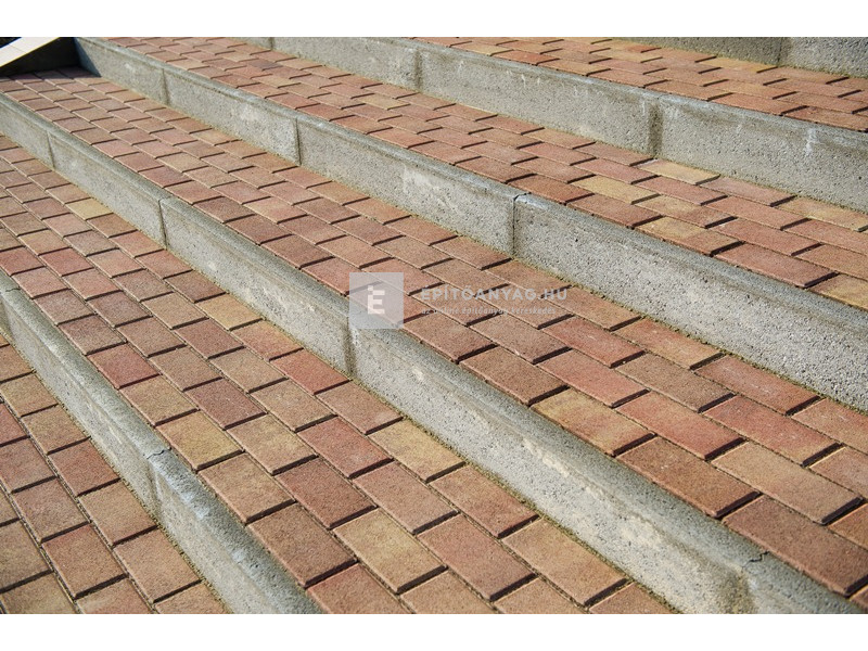 Leier Piazza térkő őszilomb 10x20x6 cm