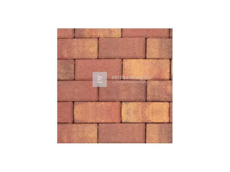 Leier Piazza térkő őszilomb 10x20x6 cm