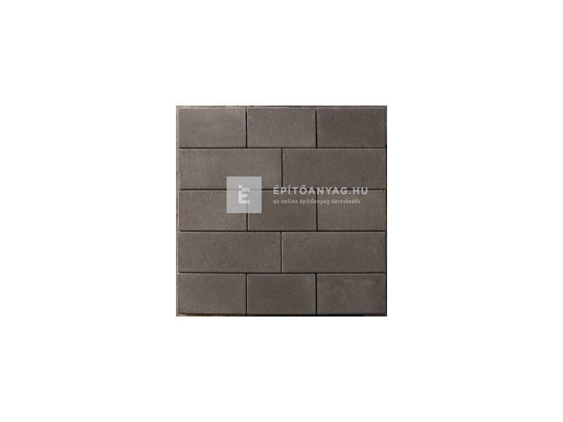 Leier Forum térkő carbonszürke 20x40x8 cm