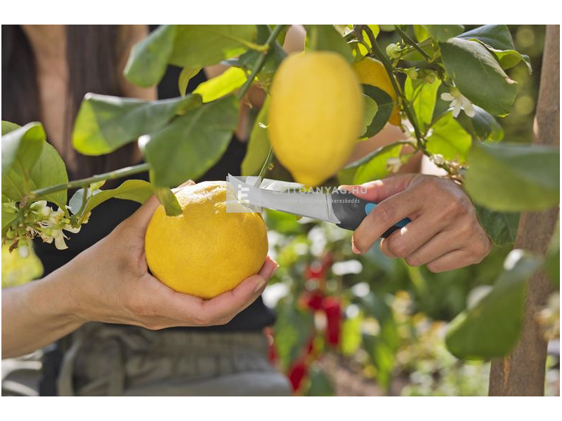 Gardena szüretelő kés