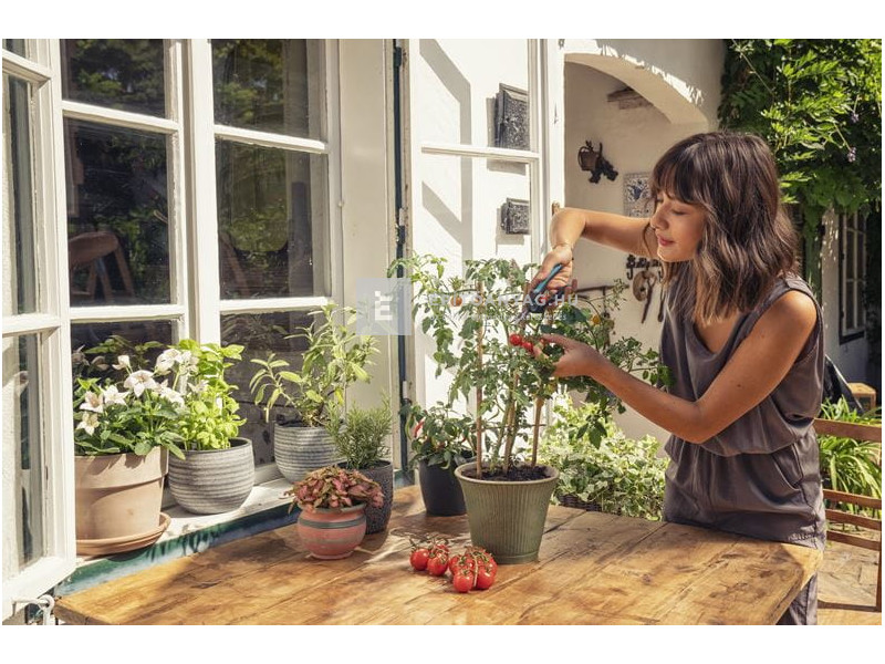 Gardena szüretelő olló készlet