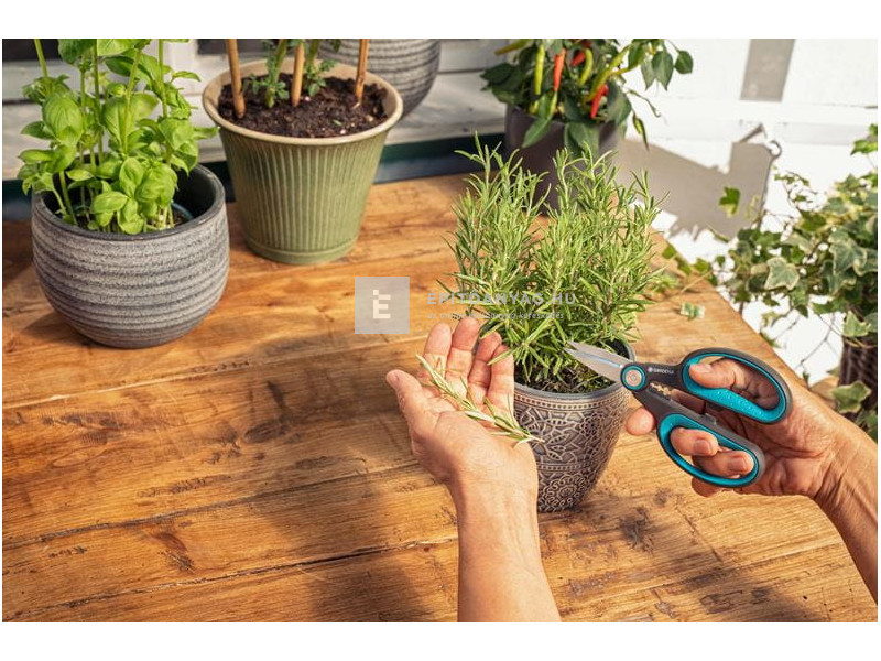 Gardena fűszernövény olló készlet