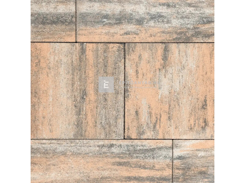 SW Térkő Hernádkő kombi kagyló 6 cm