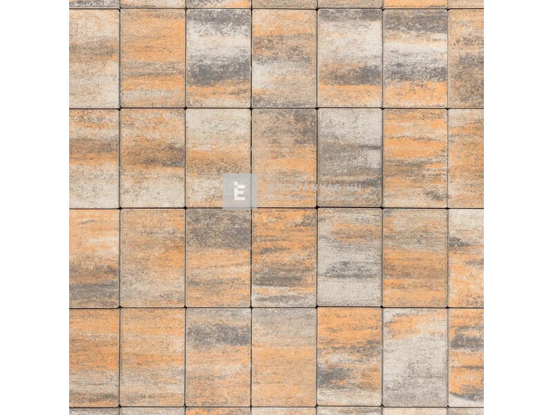 SW Térkő Ingókő kagyló 13,3x20x5 cm