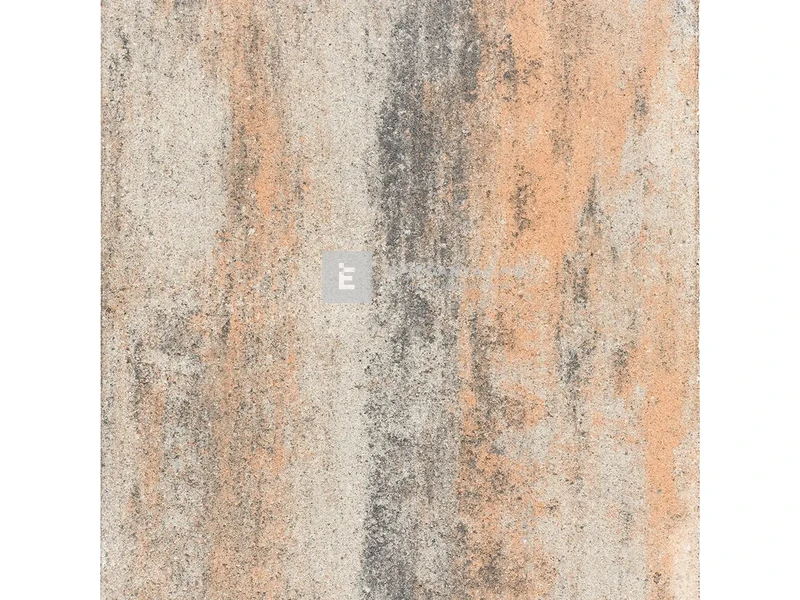 SW Térkő Írottkő kombi kagyló 6 cm