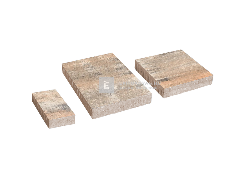 SW Térkő Zselickő kombi kagyló 6 cm