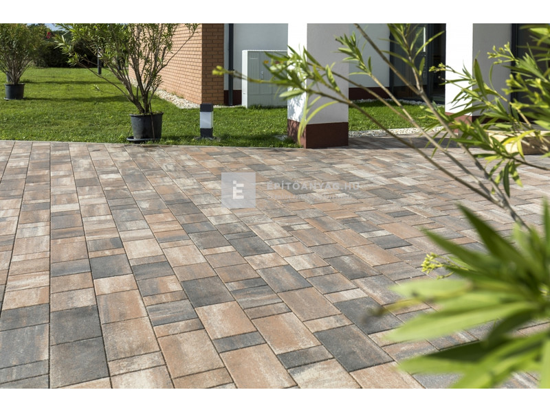 Leier Taverna Kombi térkő kagylóhéj melírozott 6 cm