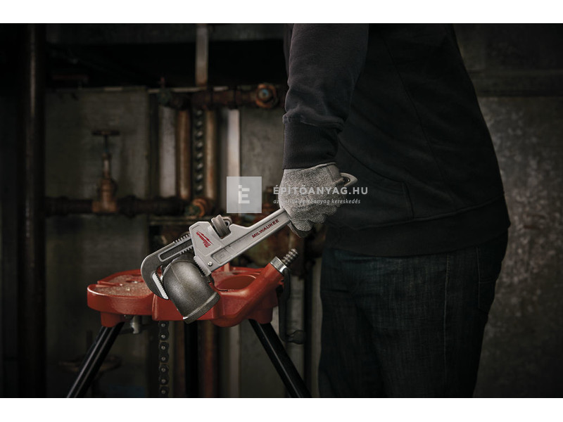 Milwaukee 12