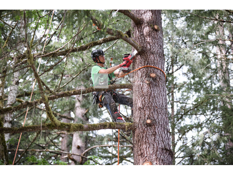 Milwaukee M18FHS20-552 ágvágó láncfűrész 20 cm