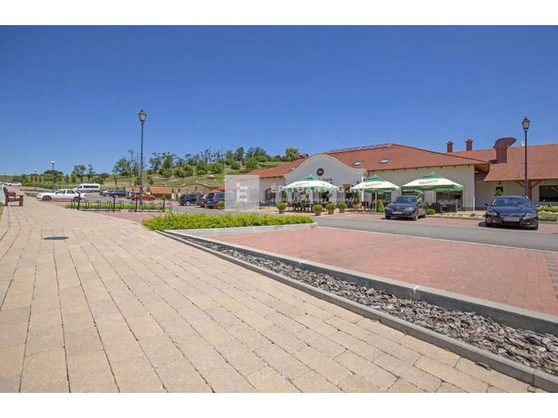 Leier Patio Térkő és falazóelem agyagbarna melírozott 25x12,4 cm 5 cm