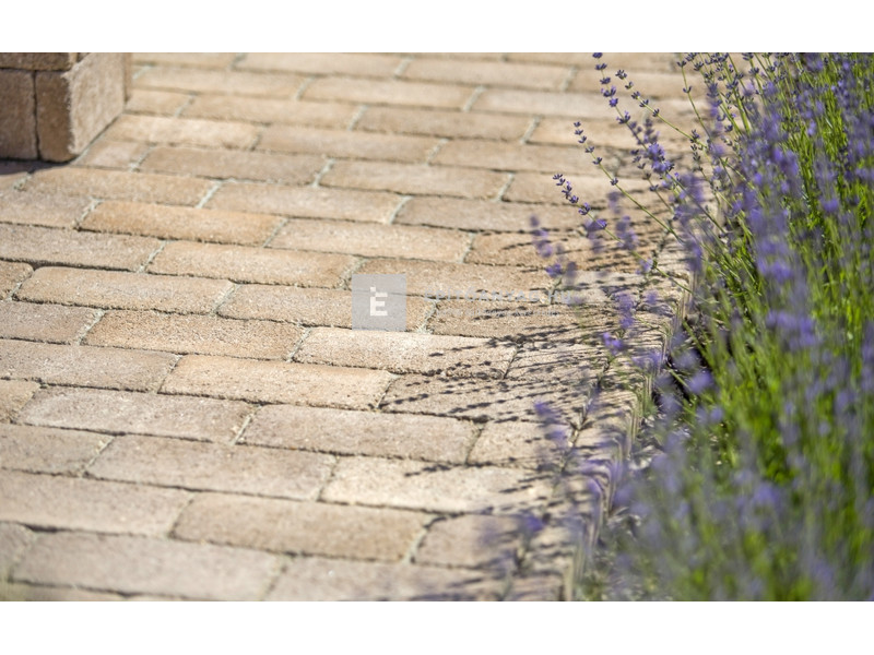 Leier Patio Térkő és falazóelem agyagbarna melírozott 25x12,4 cm 5 cm