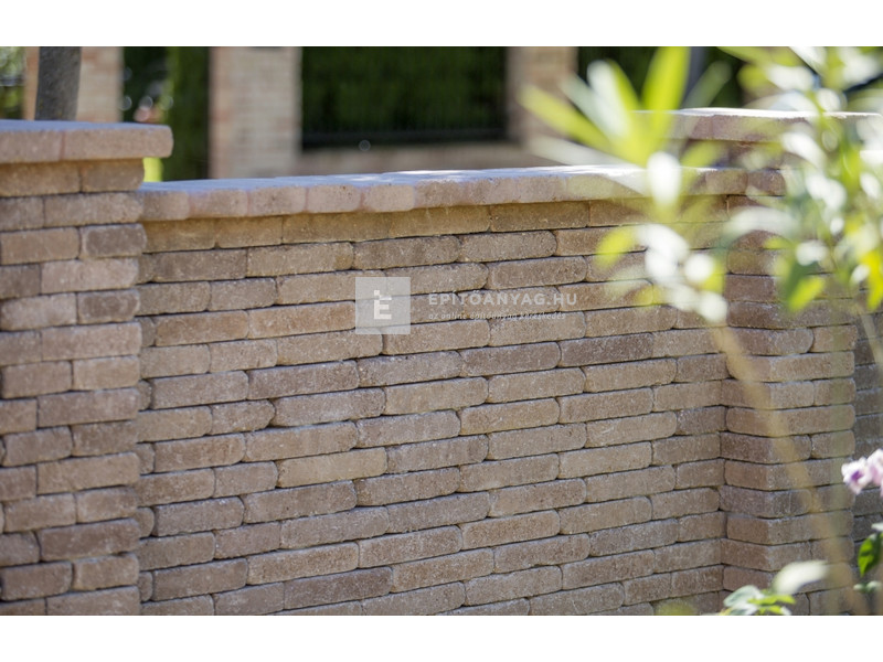 Leier Patio Térkő és falazóelem agyagbarna melírozott 25x12,4 cm 5 cm
