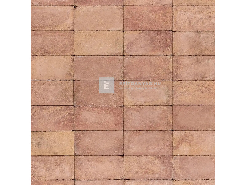 SW Tokajkő térkő pince (sárga-piros) 25x12,5x5 cm