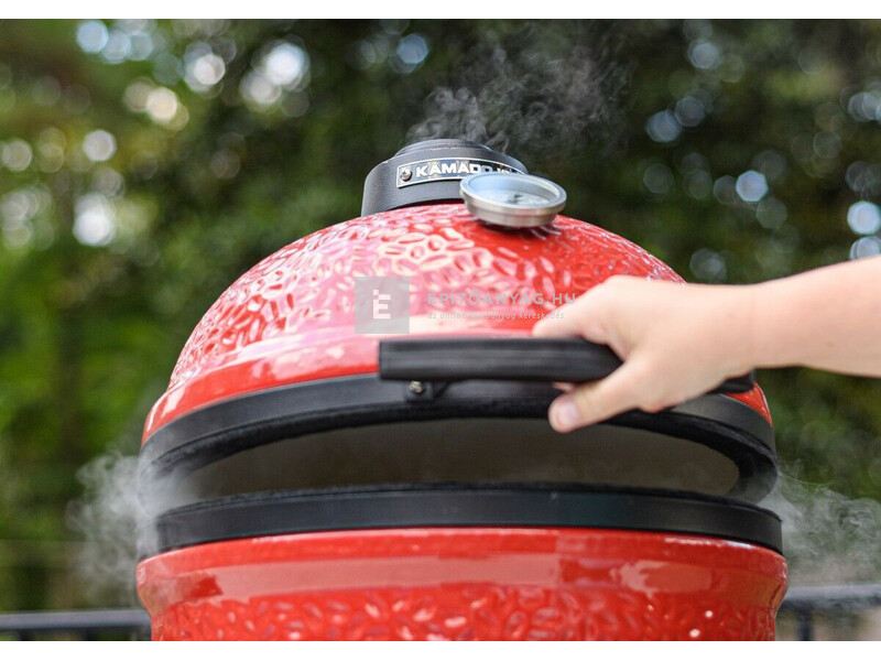 SpaTrend Kamado Joe Junior 13