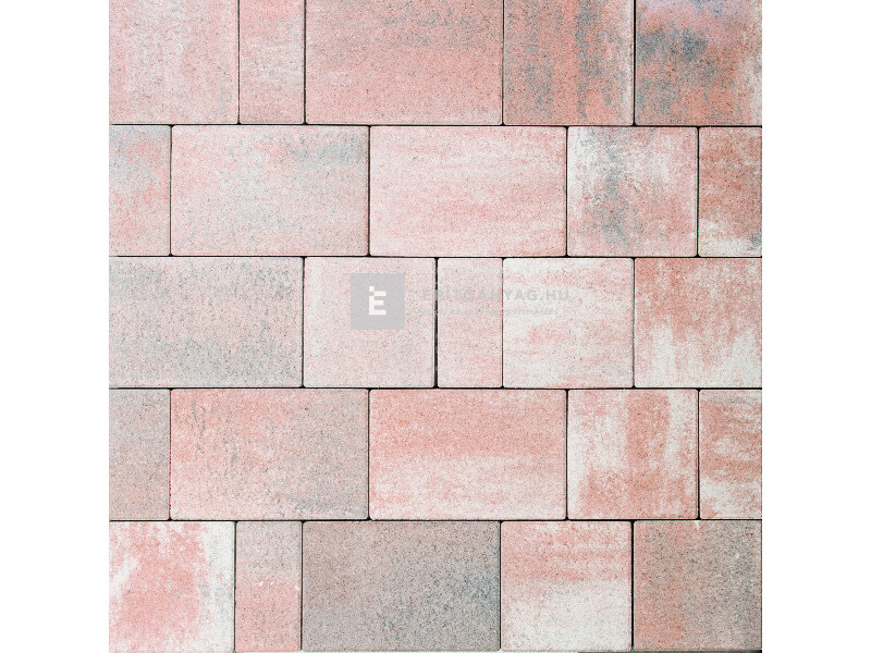 Leier Taverna kombi térkő kagylóhéj satírozott 6 cm