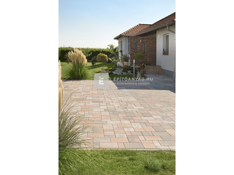 Leier Taverna Kombi térkő kagylóhéj melírozott 6 cm