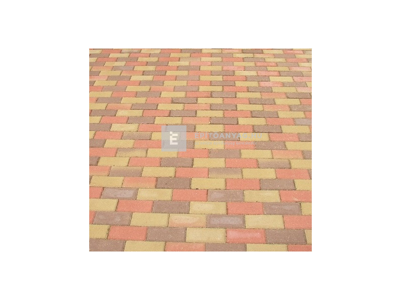 SW Solymoskő Térkő őszilomb 20x10 cm 6 cm 9,6 m2/rkl