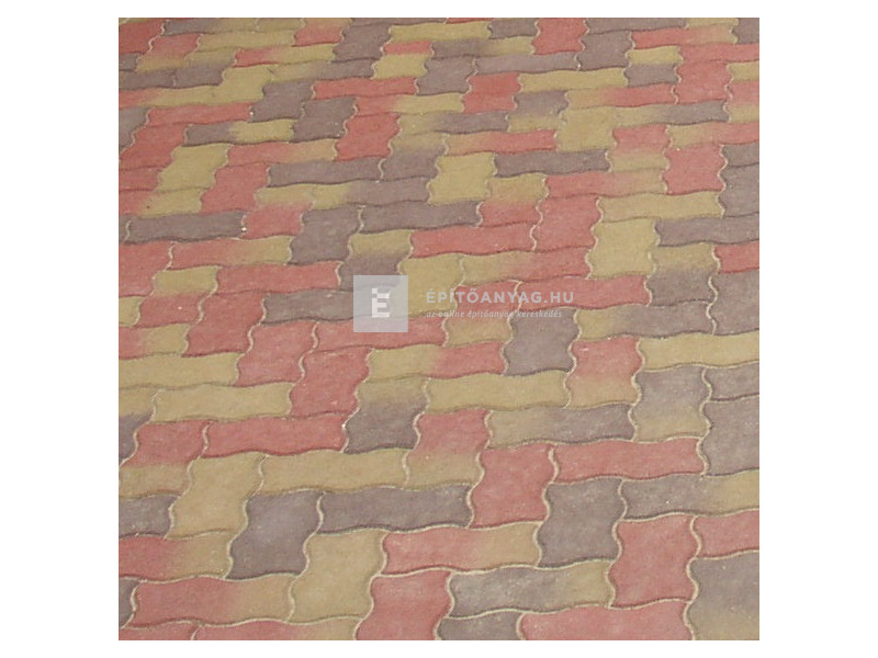 SW Salgókő Térkő őszilomb 22x11 cm 6 cm