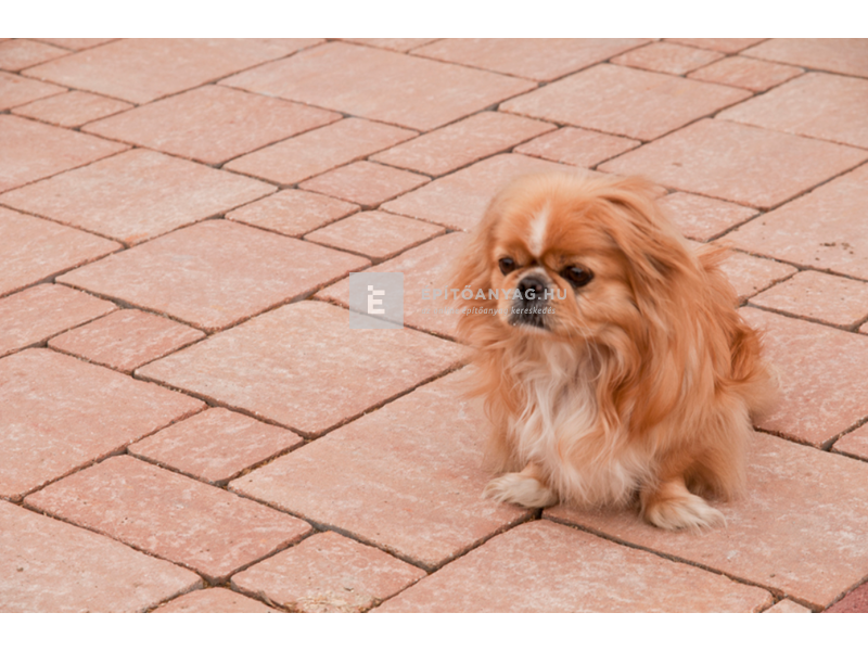 KK Kavics Colonia Vario kombi térkő borostyán 6 cm