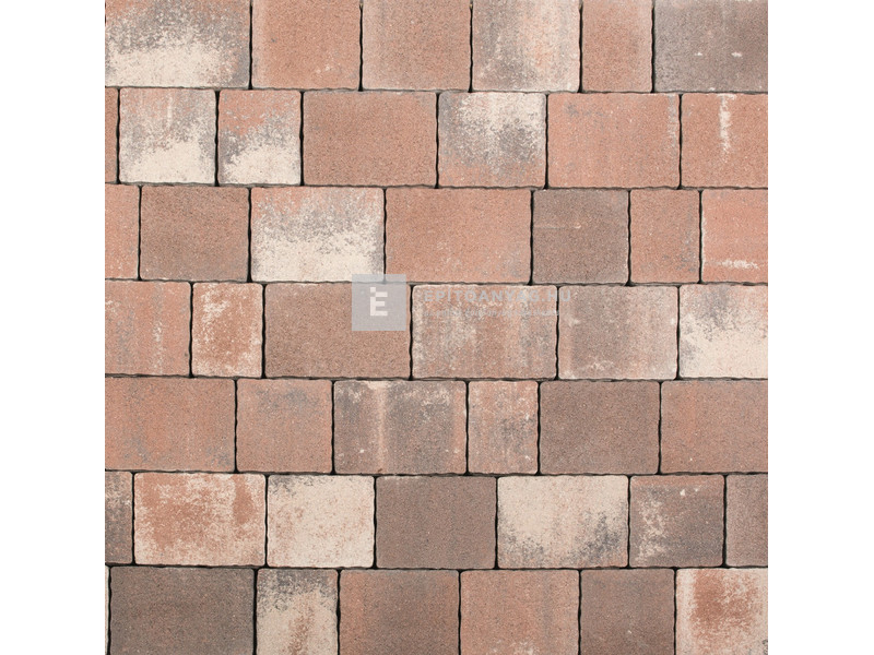 Leier Castrum Kombi térkő natúr kagylóhéj 5 cm