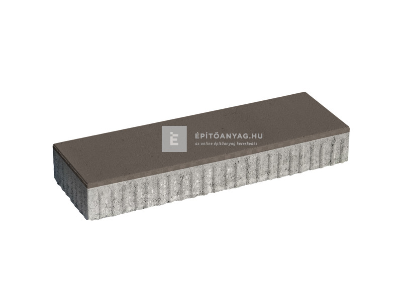 Leier Forum Térkő carbonszürke 60x20 cm 8 cm