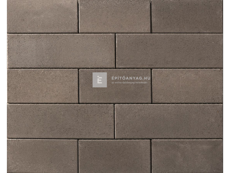 Leier Forum Térkő carbonszürke 60x20 cm 8 cm