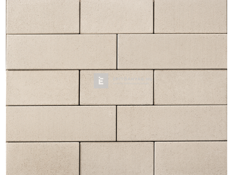 Leier Forum térkő ezüstszürke 60x20 cm 8 cm