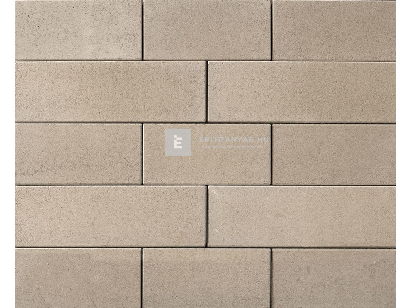 Leier Forum Térkő középszürke 40x20 cm 8 cm