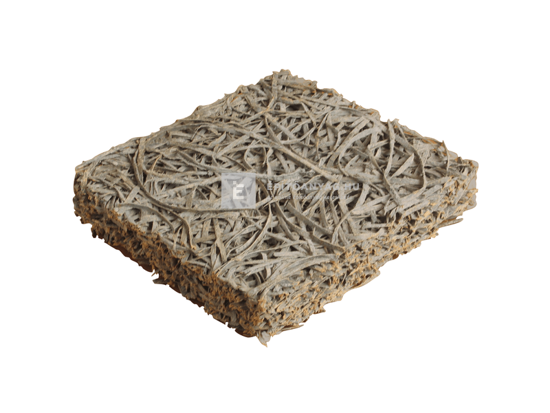 Masterplast Woodwool C cementkötésű fagyapot 25 mm