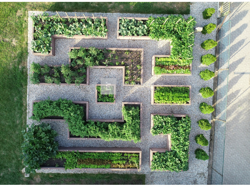 Leier Durisol Magaságyás