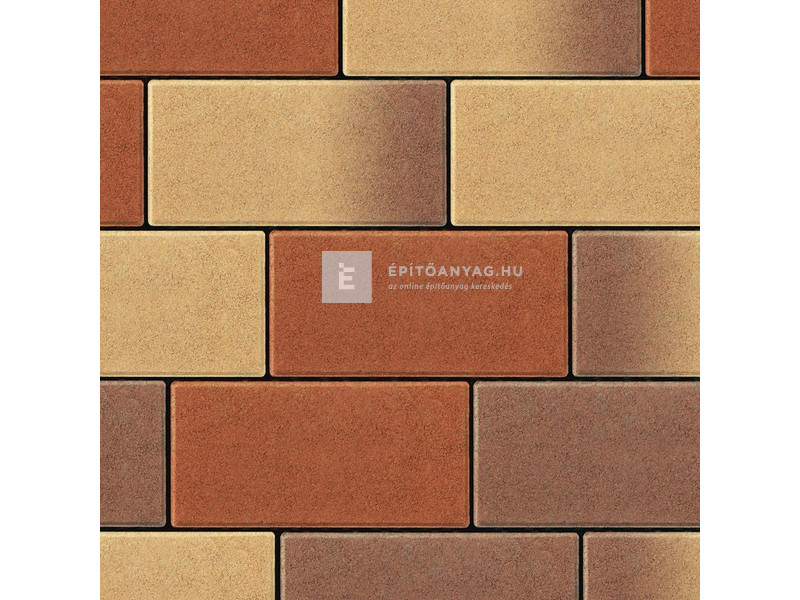 Semmelrock Citytop Térkő őszilomb 10x20 cm 6 cm