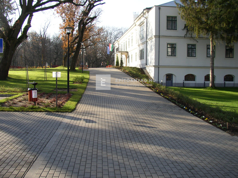 SW Solymoskő Térkő szürke 20x10 cm 8 cm