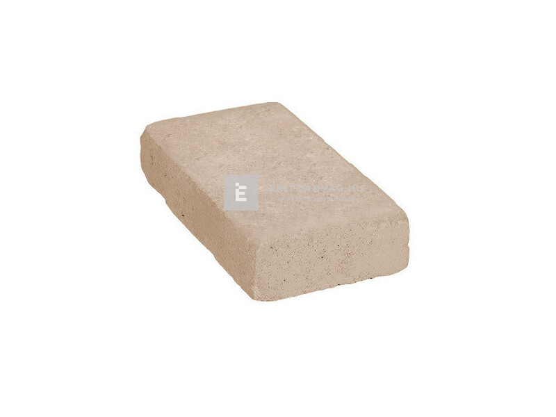 SW Tokajkő Térkő bézs 25x12,5 cm 5 cm