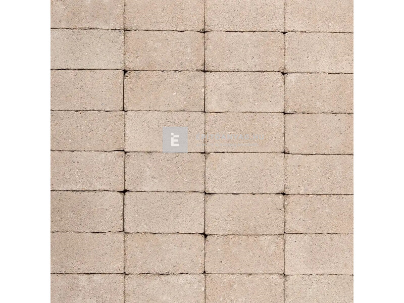SW Tokajkő Térkő bézs 25x12,5 cm 5 cm