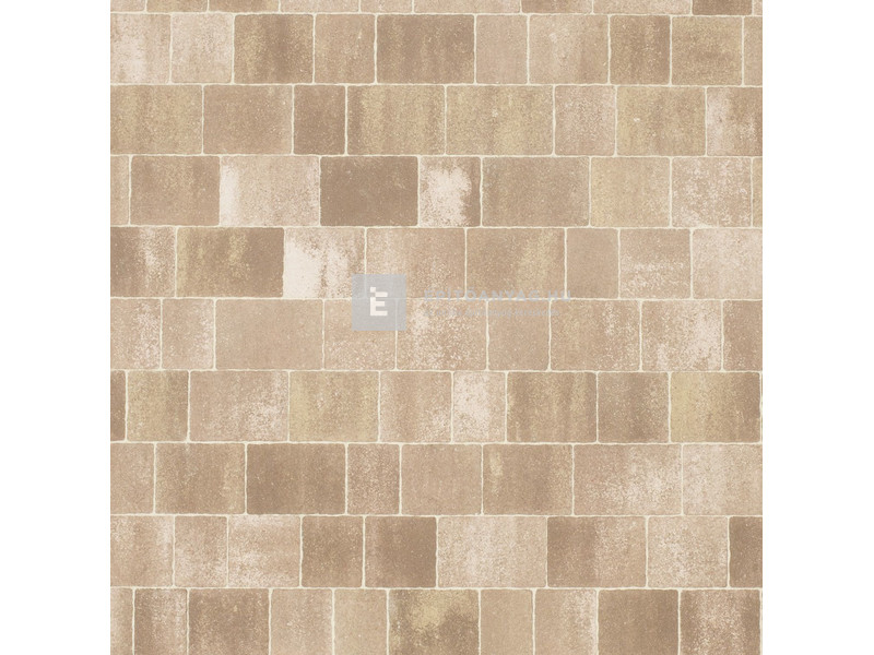 Leier Castrum Kombi térkő natúr sepia 5 cm