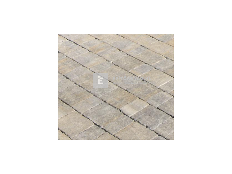 Viastein Vieto Mistro Kombi térkő kagylóhéj árnyalt 8 cm CCP