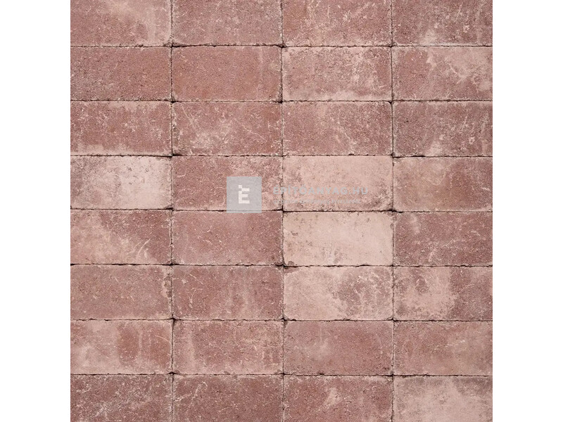 SW Tokajkő Térkő vörös 25x12,5x5 cm ALS